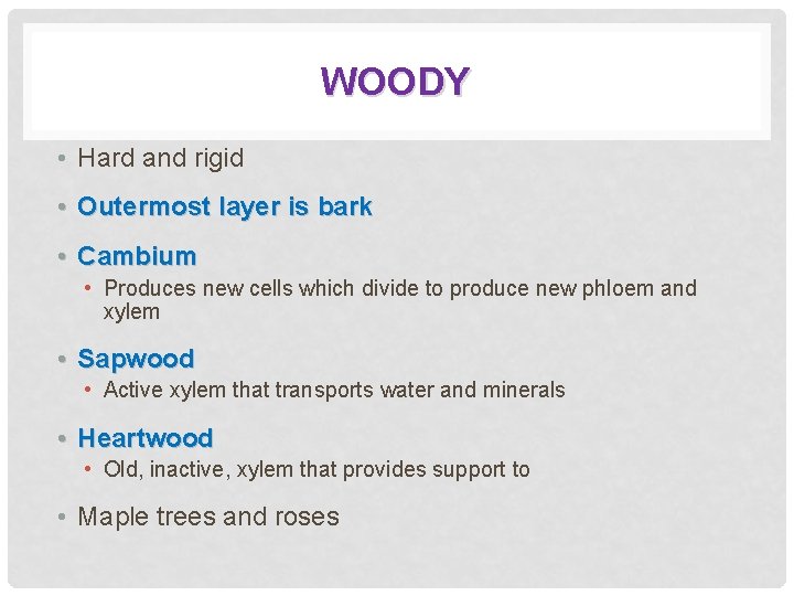 WOODY • Hard and rigid • Outermost layer is bark • Cambium • Produces