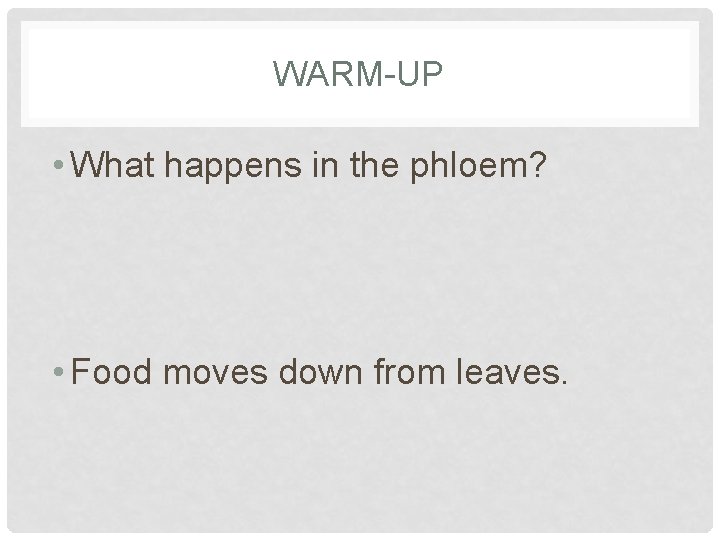 WARM-UP • What happens in the phloem? • Food moves down from leaves. 