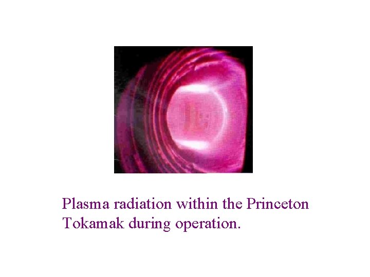 Plasma radiation within the Princeton Tokamak during operation. 