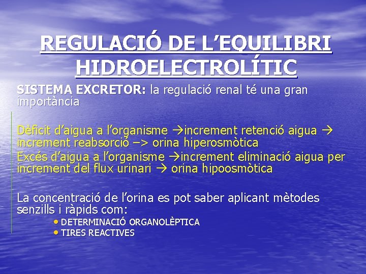 REGULACIÓ DE L’EQUILIBRI HIDROELECTROLÍTIC SISTEMA EXCRETOR: la regulació renal té una gran importància Dèficit