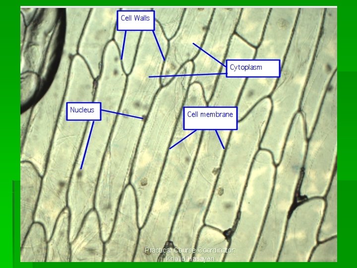 Practical Course Coordinator: Khalid Hasayen 