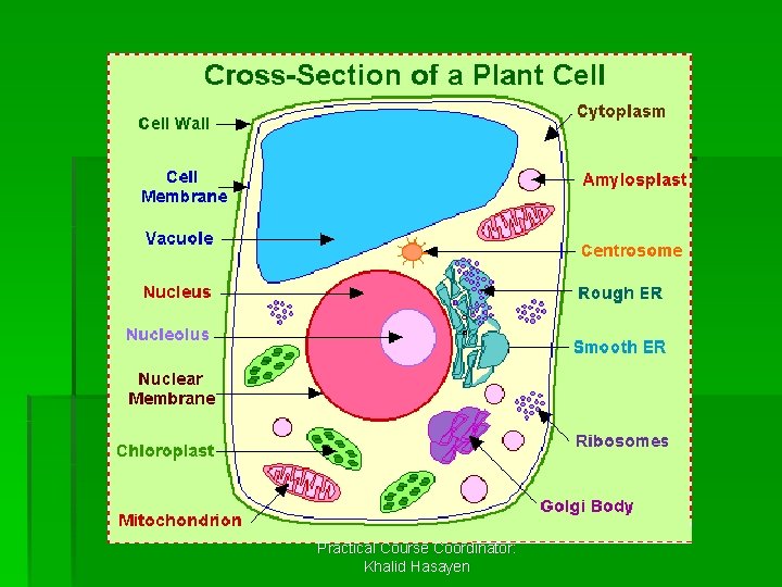 Practical Course Coordinator: Khalid Hasayen 