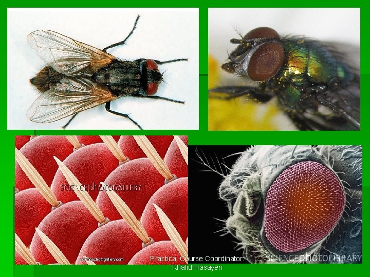 Practical Course Coordinator: Khalid Hasayen 