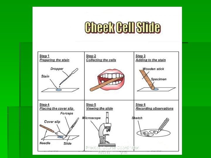 Practical Course Coordinator: Khalid Hasayen 