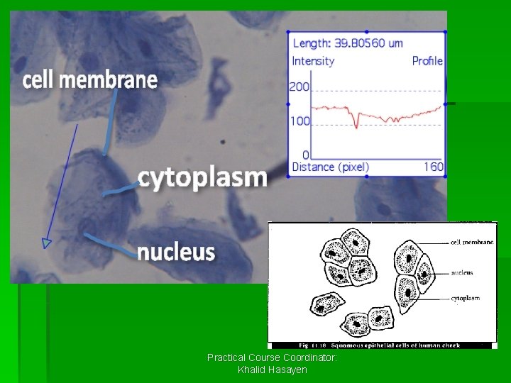 Practical Course Coordinator: Khalid Hasayen 