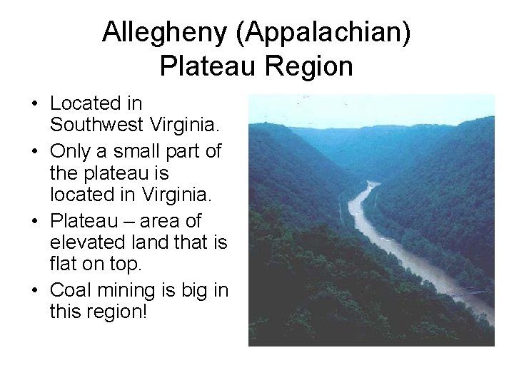 Allegheny (Appalachian) Plateau Region • Located in Southwest Virginia. • Only a small part