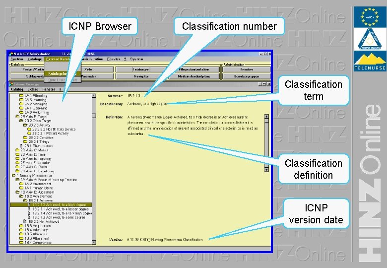 ICNP Browser Classification number Classification term Classification definition ICNP version date 