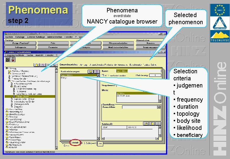 Phenomena step 2 Phenomena event/state NANCY catalogue browser Selected phenomenon Selection criteria • judgemen