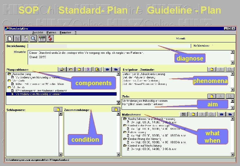 SOP / Standard- Plan / Guideline - Plan diagnose components phenomena aim condition what