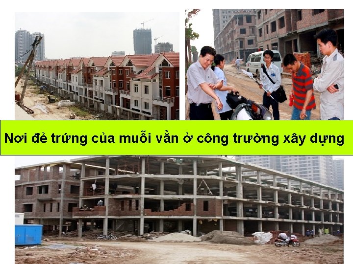 Nơi đẻ trứng của muỗi vằn ở công trường xây dựng Nơi đẻ trứng của muỗi vằn ở công trường xây dựng