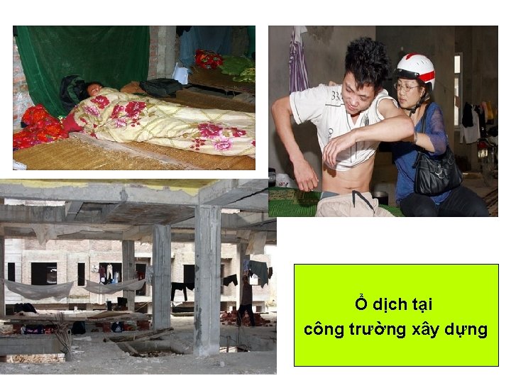Ổ dịch tại công trường xây dựng Ổ dịch tại công trường xây dựng