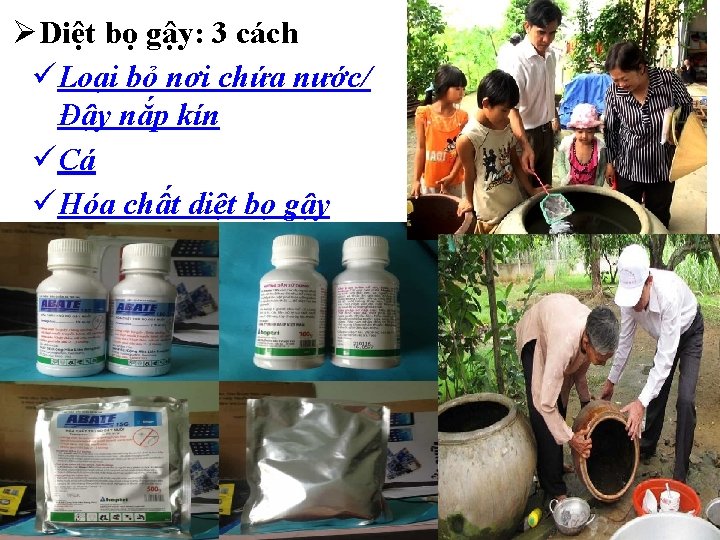 ØDiệt bọ gậy: 3 cách üLoại bỏ nơi chứa nước/ Đậy nắp kín üCá ØDiệt bọ gậy: 3 cách üLoại bỏ nơi chứa nước/ Đậy nắp kín üCá