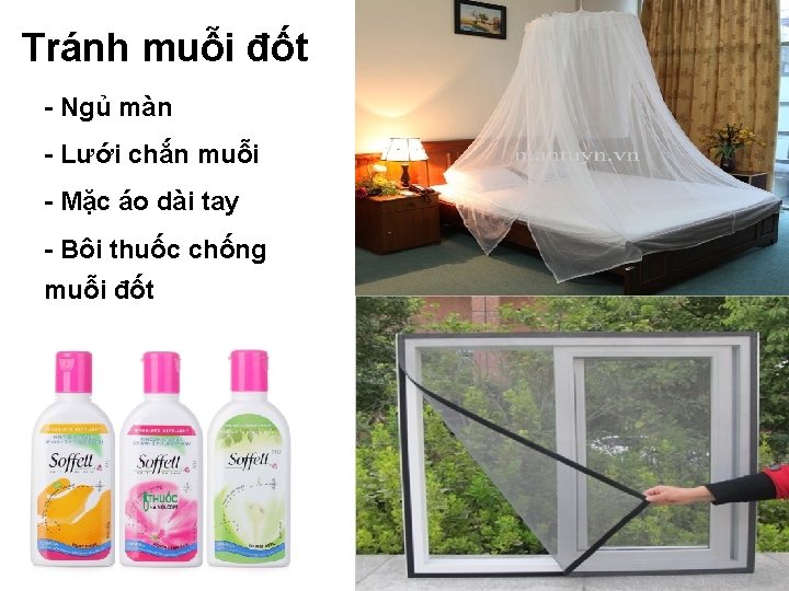 Tránh muỗi đốt - Ngủ màn - Lưới chắn muỗi - Mặc áo dài Tránh muỗi đốt - Ngủ màn - Lưới chắn muỗi - Mặc áo dài