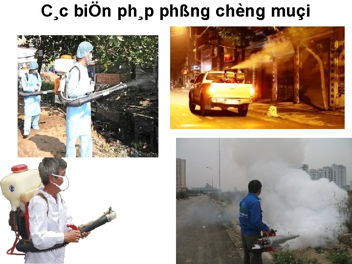 C¸c biÖn ph¸p phßng chèng muçi C¸c biÖn ph¸p phßng chèng muçi