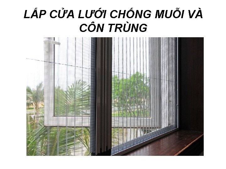 LẮP CỬA LƯỚI CHỐNG MUỖI VÀ CÔN TRÙNG LẮP CỬA LƯỚI CHỐNG MUỖI VÀ CÔN TRÙNG