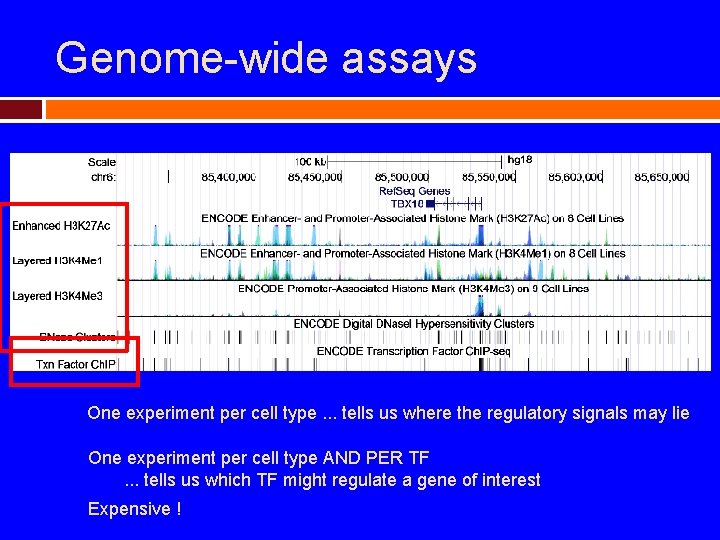 Genome-wide assays One experiment per cell type. . . tells us where the regulatory
