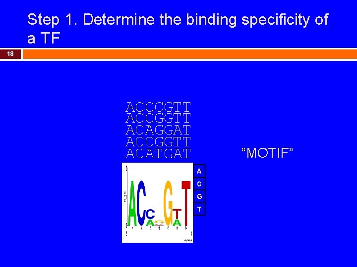 Step 1. Determine the binding specificity of a TF 18 ACCCGTT ACCGGTT ACAGGAT ACCGGTT