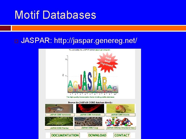 Motif Databases JASPAR: http: //jaspar. genereg. net/ 