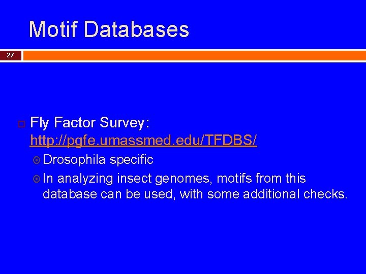 Motif Databases 27 Fly Factor Survey: http: //pgfe. umassmed. edu/TFDBS/ Drosophila specific In analyzing