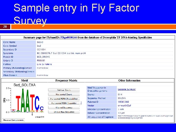 28 Sample entry in Fly Factor Survey 