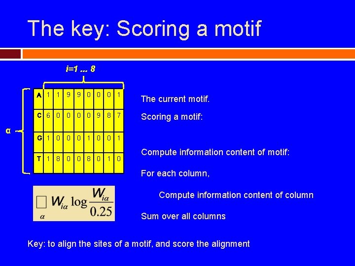 The key: Scoring a motif i=1. . . 8 α A 1 1 9