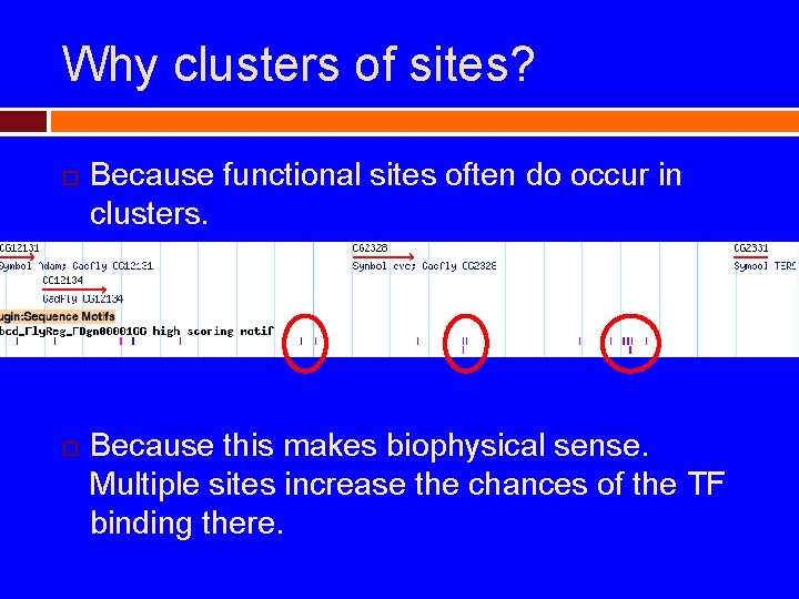 Why clusters of sites? Because functional sites often do occur in clusters. Because this