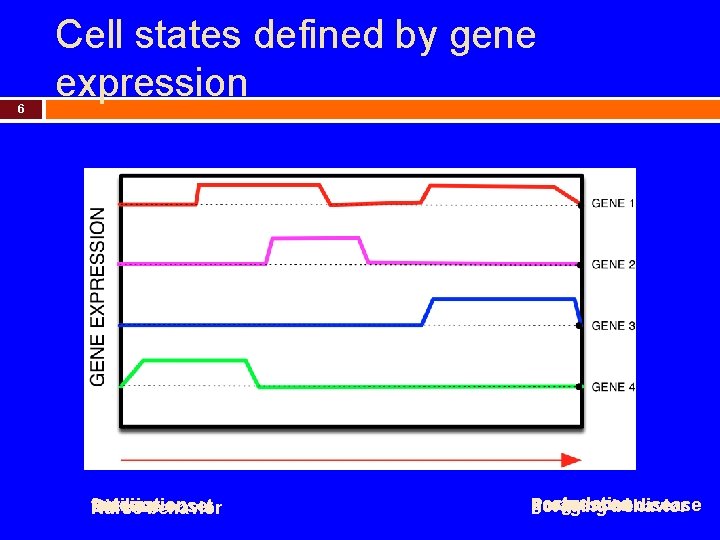 6 Cell states defined by gene expression fertilization anterior Disease onset Nurse behavior gastrulation