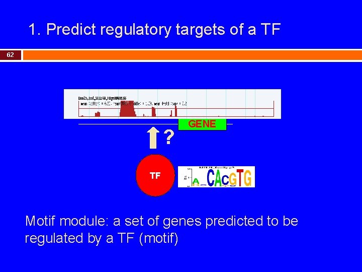 1. Predict regulatory targets of a TF 62 ? GENE TF Motif module: a