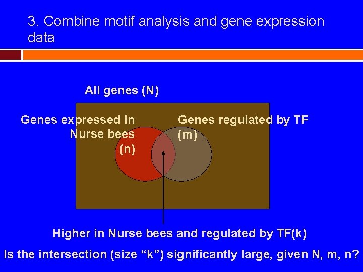 3. Combine motif analysis and gene expression data All genes (N) Genes expressed in