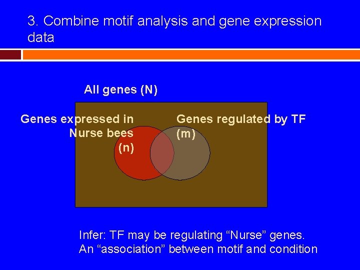 3. Combine motif analysis and gene expression data All genes (N) Genes expressed in