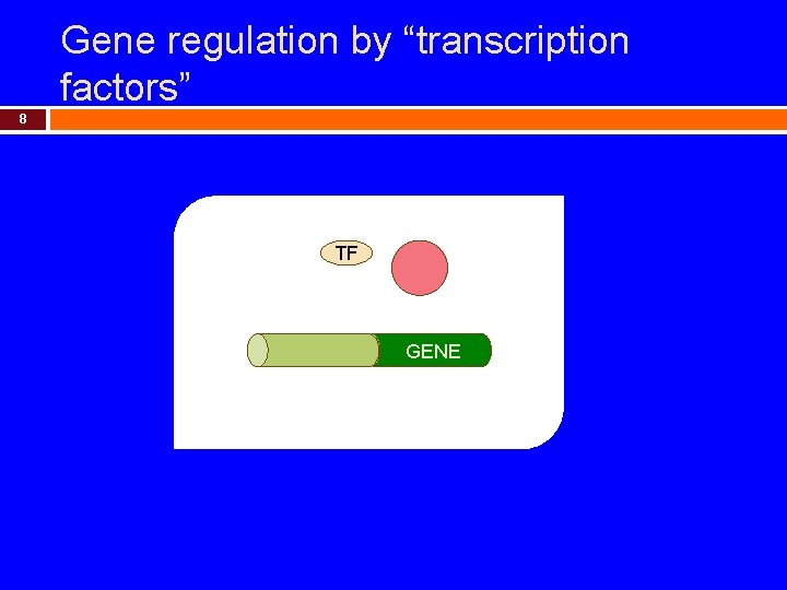 Gene regulation by “transcription factors” 8 TF GENE 