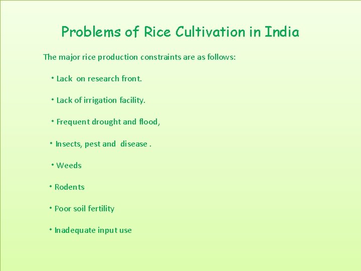 Problems of Rice Cultivation in India The major rice production constraints are as follows:
