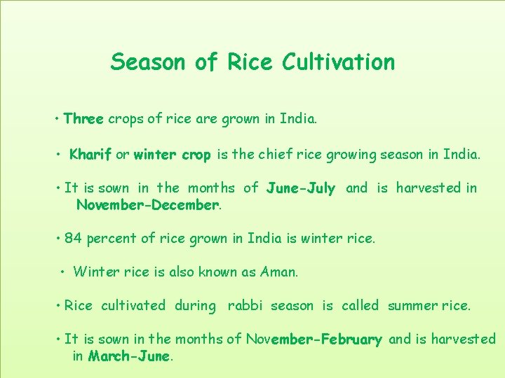 Season of Rice Cultivation • Three crops of rice are grown in India. •