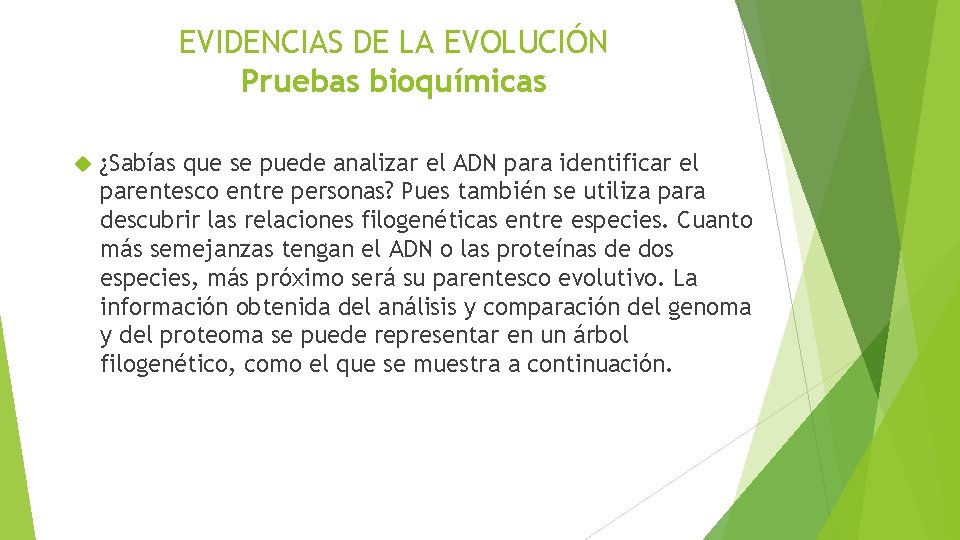 EVIDENCIAS DE LA EVOLUCIÓN Pruebas bioquímicas ¿Sabías que se puede analizar el ADN para