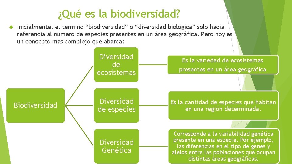 ¿Qué es la biodiversidad? Inicialmente, el termino “biodiversidad” o “diversidad biológica” solo hacia referencia