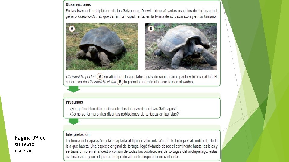 Pagina 39 de su texto escolar. 