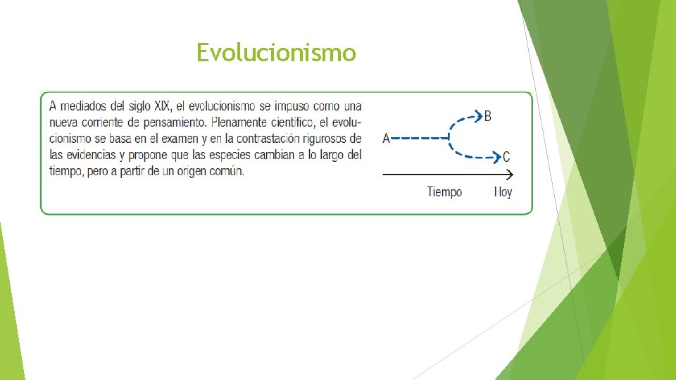 Evolucionismo 