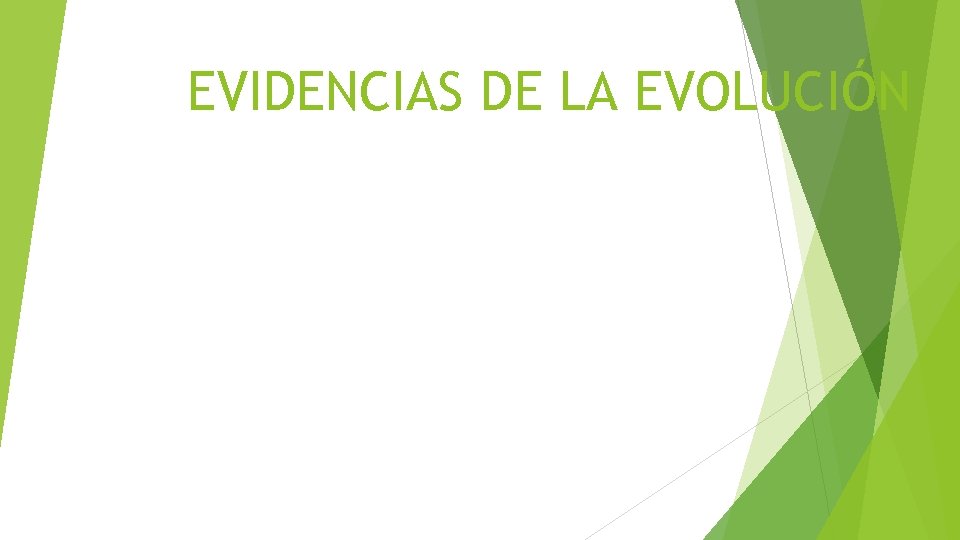 EVIDENCIAS DE LA EVOLUCIÓN 