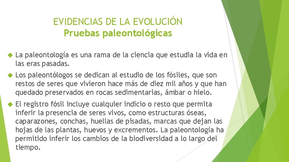 EVIDENCIAS DE LA EVOLUCIÓN Pruebas paleontológicas La paleontología es una rama de la ciencia
