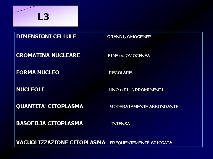 L 3 DIMENSIONI CELLULE GRANDI, OMOGENEE CROMATINA NUCLEARE FINE ed OMOGENEA FORMA NUCLEO REGOLARE