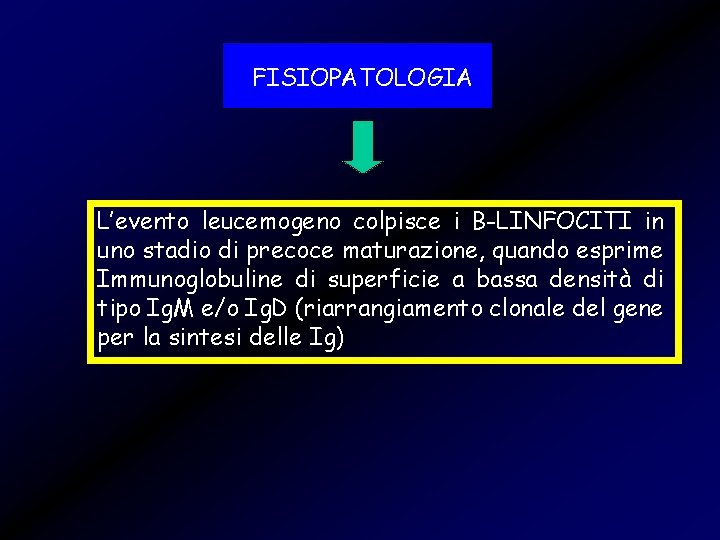 FISIOPATOLOGIA L’evento leucemogeno colpisce i B-LINFOCITI in uno stadio di precoce maturazione, quando esprime