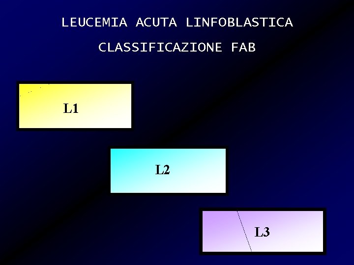 LEUCEMIA ACUTA LINFOBLASTICA CLASSIFICAZIONE FAB L 1 L 2 L 3 