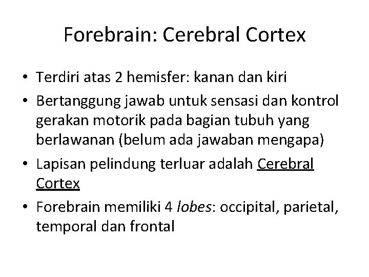 Forebrain: Cerebral Cortex • Terdiri atas 2 hemisfer: kanan dan kiri • Bertanggung jawab