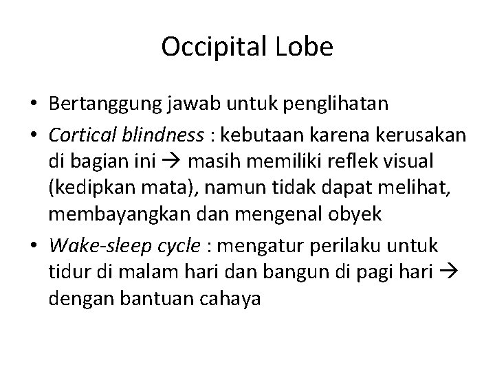 Occipital Lobe • Bertanggung jawab untuk penglihatan • Cortical blindness : kebutaan karena kerusakan