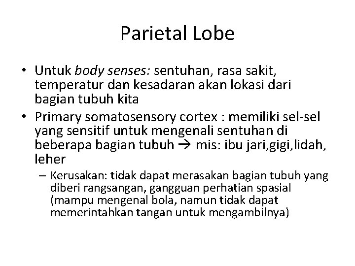 Parietal Lobe • Untuk body senses: sentuhan, rasa sakit, temperatur dan kesadaran akan lokasi