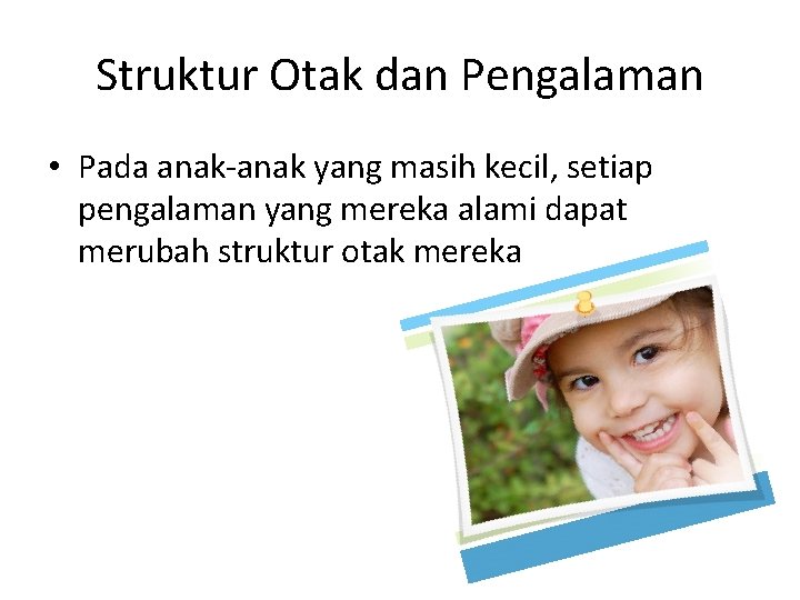 Struktur Otak dan Pengalaman • Pada anak-anak yang masih kecil, setiap pengalaman yang mereka