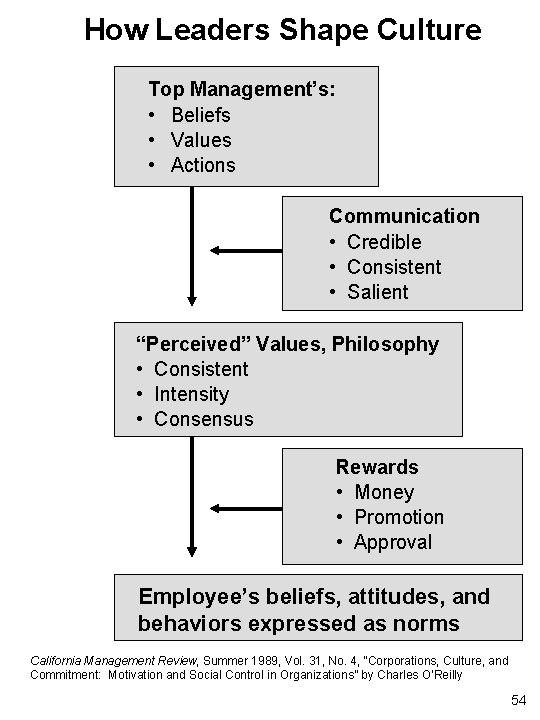 How Leaders Shape Culture Top Management’s: • Beliefs • Values • Actions Communication •