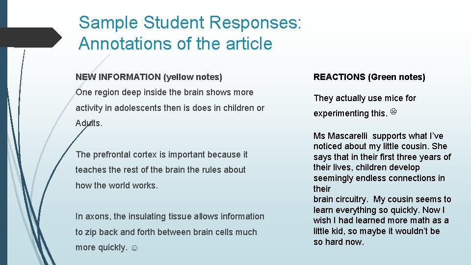 Sample Student Responses: Annotations of the article NEW INFORMATION (yellow notes) One region deep