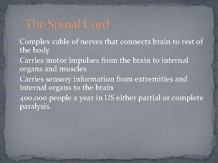 The Spinal Cord �Complex cable of nerves that connects brain to rest of the