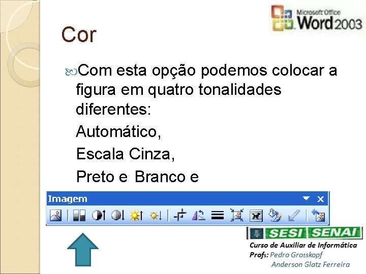 Cor Com esta opção podemos colocar a figura em quatro tonalidades diferentes: Automático, Escala